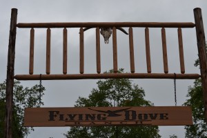 Flying Dove Ranch | Wedding DJ